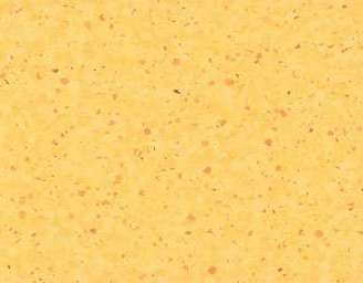 0333 Ananas
