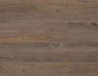 0359 Wild Oak 