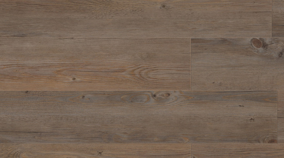0359 Wild Oak 