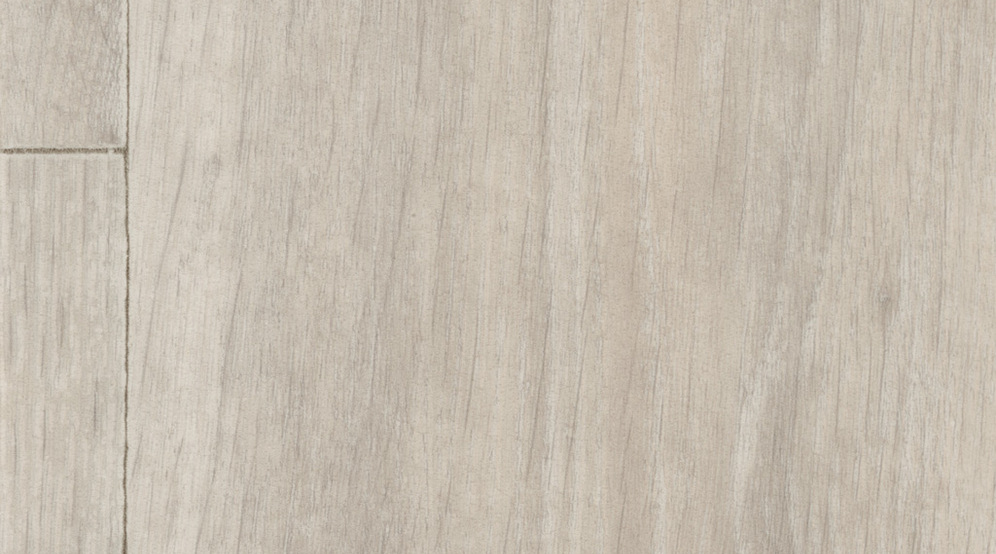 0373 Noma Ice